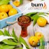 Заказать кальянный табак Burn Juicy Apricot (Берн Абрикос) 100г онлайн с доставкой всей России фото - 2